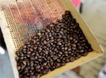 Secrets of Civet Cat Coffee